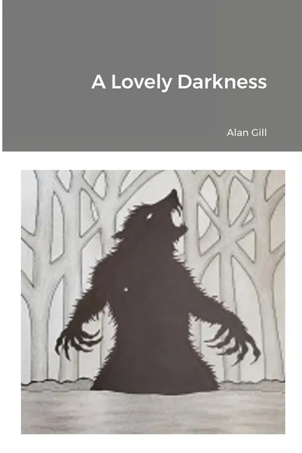 A Lovely Darkness - Paperback