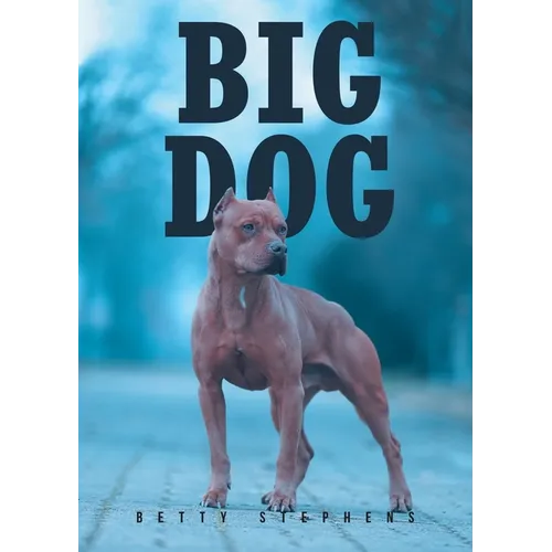 Big Dog - Paperback