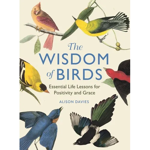 The Wisdom of Birds: Essential Life Lessons for Positivity and Grace - Hardcover