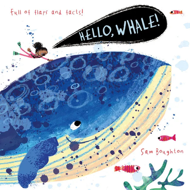 Hello, Whale! - Board Book