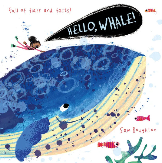 Hello, Whale! - Board Book