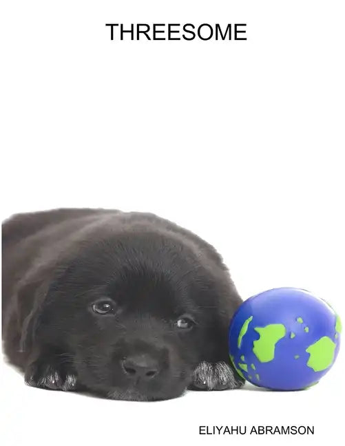 Threesome - Paperback