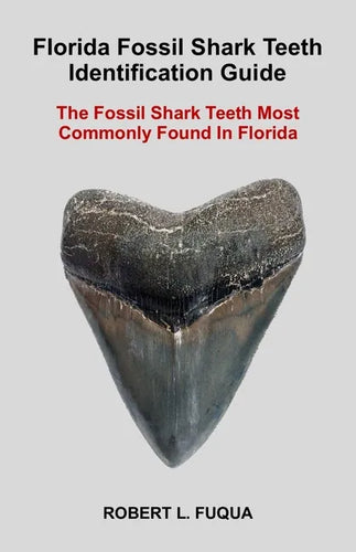 Florida Fossil Shark Teeth Identification Guide: The Fossil Shark Teeth Most Commonly Found In Florida - Paperback