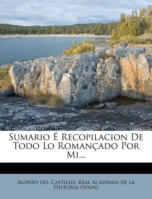 Sumario É Recopilacion De Todo Lo Romançado Por Mi... - Paperback