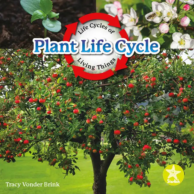 Plant Life Cycle - Paperback