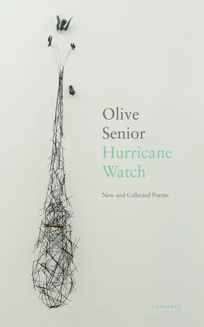 Hurricane Watch: New and Collected Poems - Paperback
