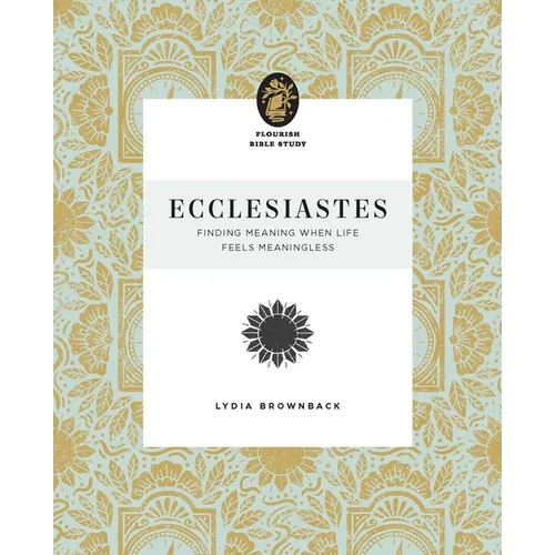 Ecclesiastes: Finding Meaning When Life Feels Meaningless - Paperback