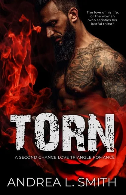 Torn: A Second Chance Love Triangle Romance - Paperback