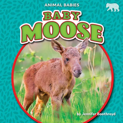 Baby Moose - Library Binding