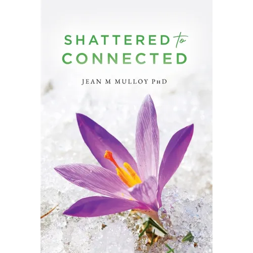 Shattered to Connected - Hardcover