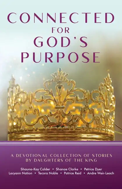 Connected for God's Purpose: A Devotional Collection of Stories by Daughters of the King - Paperback