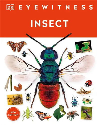 Eyewitness Insect - Hardcover
