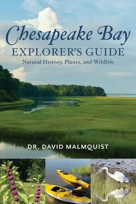 Chesapeake Bay Explorer's Guide: Natural History, Plants, and Wildlife - Paperback
