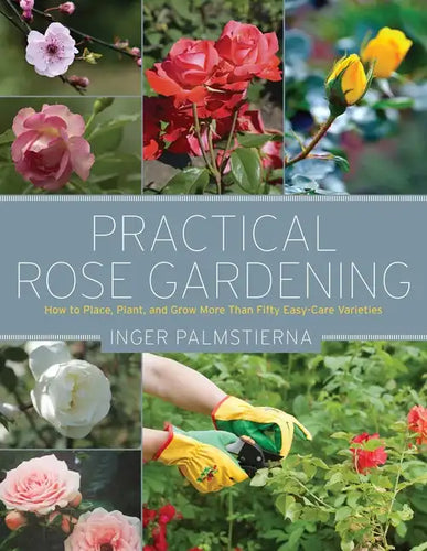 Practical Rose Gardening: How to Place, Plant, and Grow More Than Fifty Easy-Care Varieties - Paperback