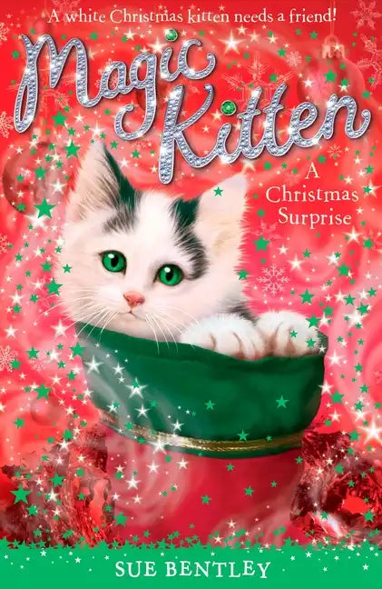 A Christmas Surprise - Paperback
