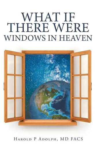 What If There Were Windows in Heaven - Paperback