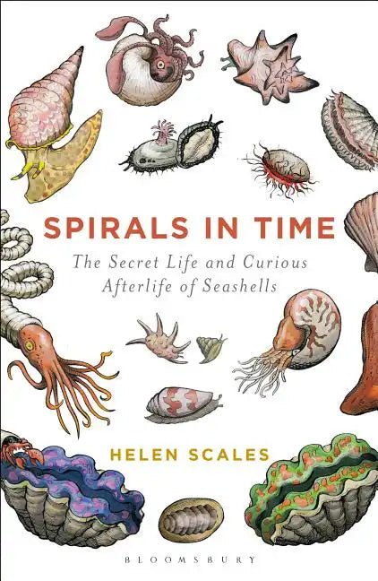 Spirals in Time: The Secret Life and Curious Afterlife of Seashells - Paperback