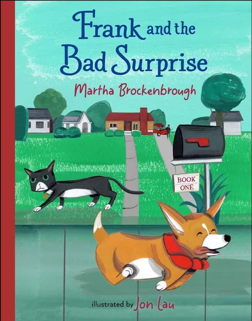 Frank and the Bad Surprise - Hardcover