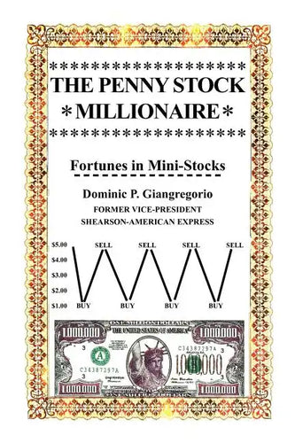 The Penny Stock Millionaire - Paperback