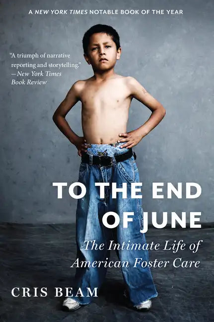 To the End of June: The Intimate Life of American Foster Care - Paperback