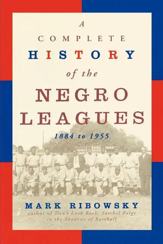 Comp.Hist.Negro Leg-P - Paperback