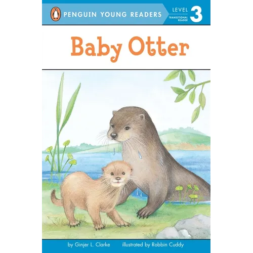 Baby Otter - Paperback