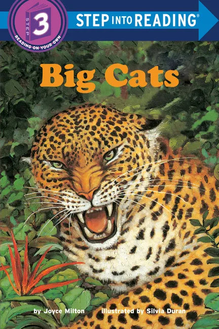 Big Cats - Paperback