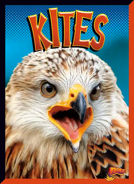 Kites - Paperback