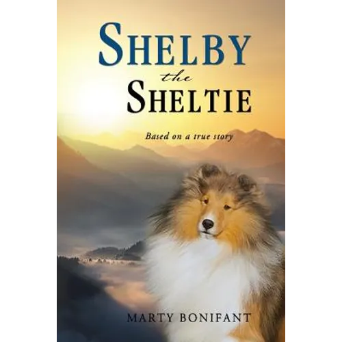 Shelby the Sheltie - 