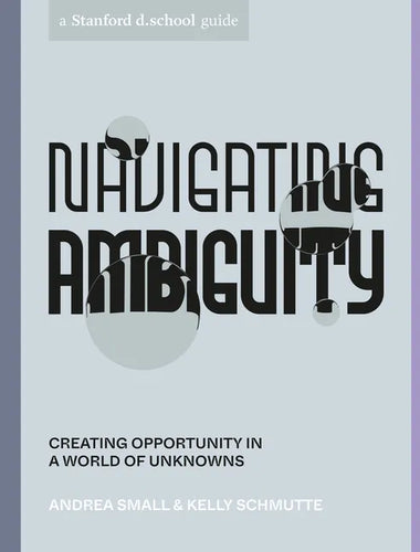 Navigating Ambiguity: Creating Opportunity in a World of Unknowns - Paperback