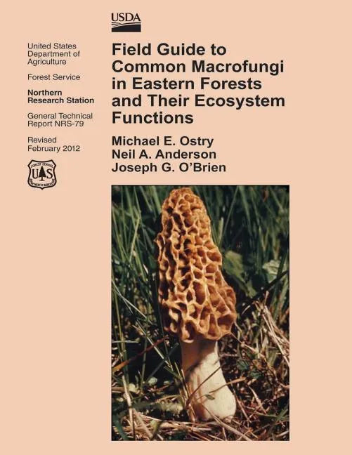 Field Guide to Common Macrofungi in Eastern Forests and Their Ecosystem Functions - Paperback