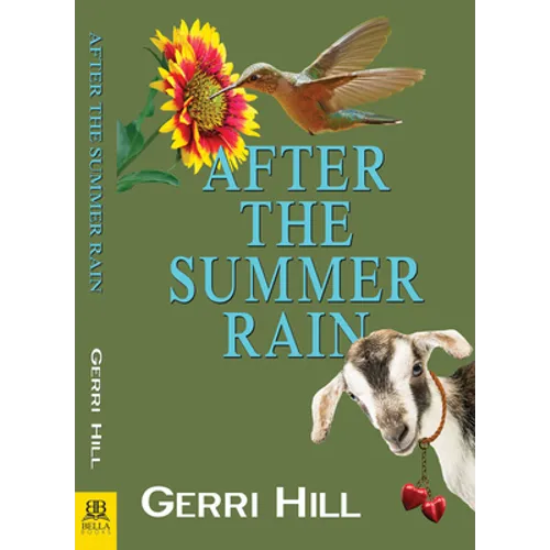 After the Summer Rain - Paperback
