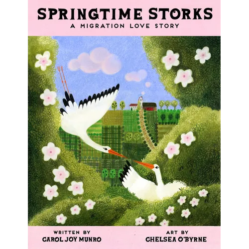 Springtime Storks: A Migration Love Story - Hardcover