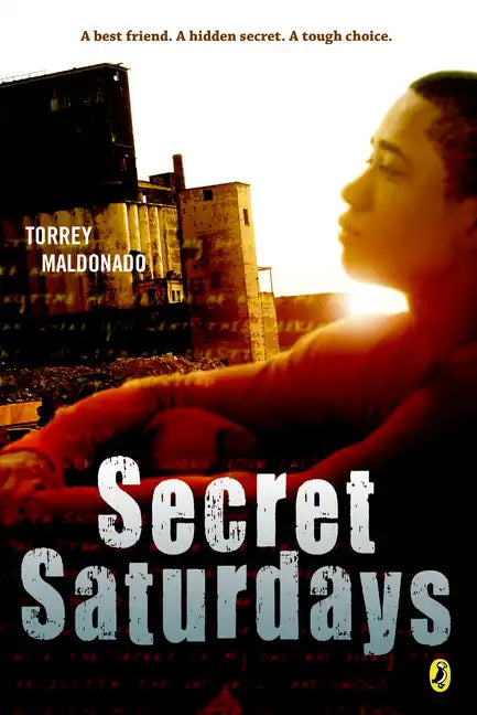 Secret Saturdays - Paperback