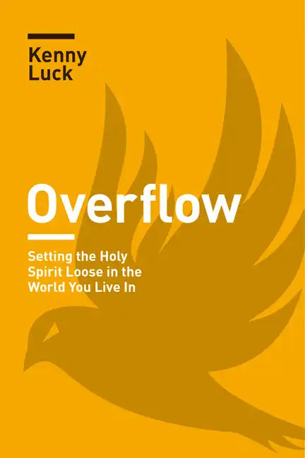 Overflow: Setting the Holy Spirit Loose in the World You Live in - Paperback