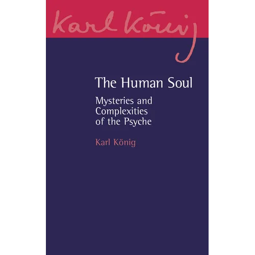 The Human Soul: Mysteries and Complexities of the Psyche - Paperback