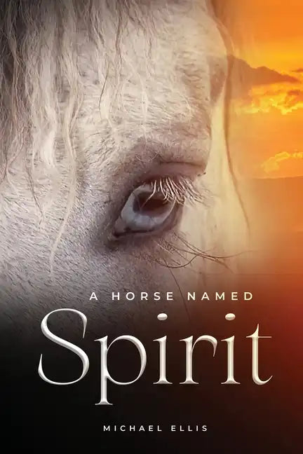 A Horse Named Spirit - Paperback