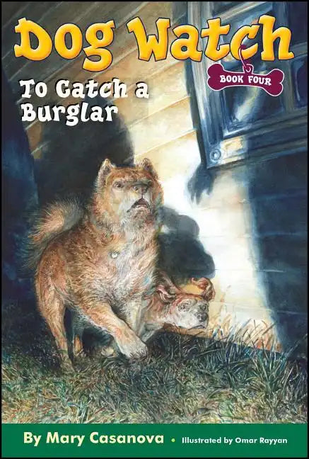 To Catch a Burglar - Paperback