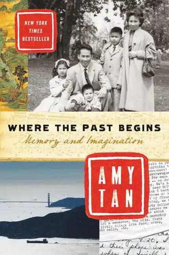 Where the Past Begins: Memory and Imagination - Paperback