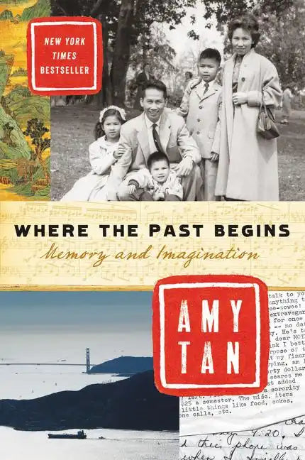 Where the Past Begins: Memory and Imagination - Paperback