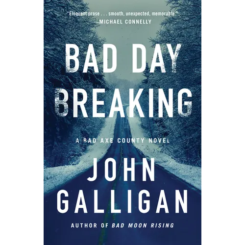 Bad Day Breaking - Paperback