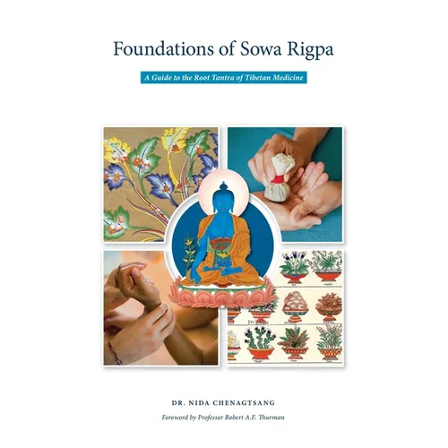 Foundations of Sowa Rigpa: A Guide to the Root Tantra of Tibetan Medicine - Paperback