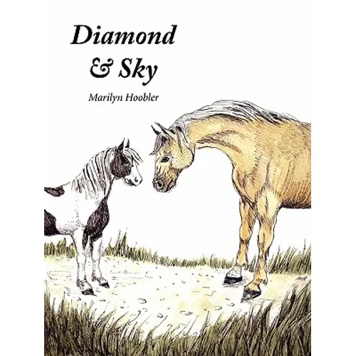 Diamond & Sky - Paperback