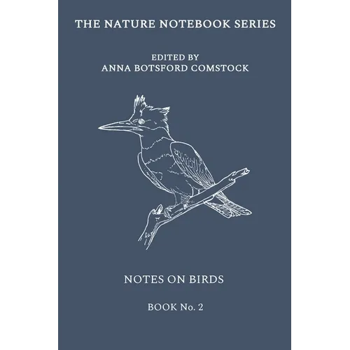Notes on Birds 2 - Paperback