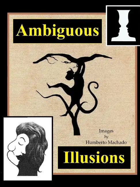 Ambiguous Illusions - Paperback