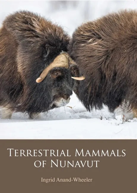 Terrestrial Mammals of Nunavut - Paperback