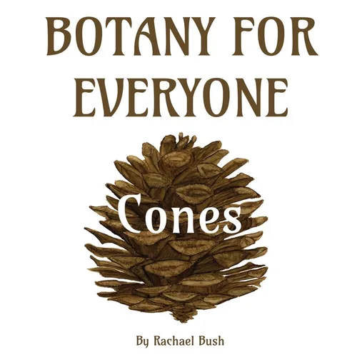 Botany for Everyone: Cones - Hardcover