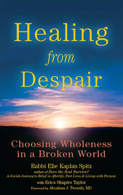 Healing from Despair: Choosing Wholeness in a Broken World - Paperback