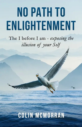 No Path to Enlightenment: The I before I am - exposing the illusion of your Self - Paperback