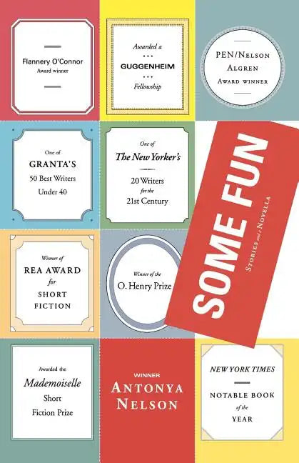 Some Fun: Stories and a Novella - Paperback